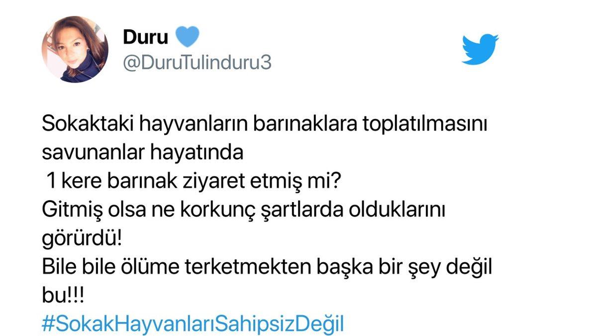 Cumhurbaşkanı Erdoğan’ın ’Sokak Hayvanlarının Toplatılması’ Teklifi Sosyal Medyanın Gündeminde: İşte Gelen Tepkiler