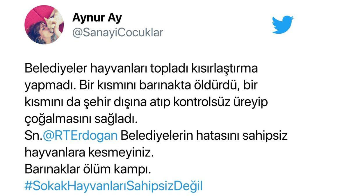 Cumhurbaşkanı Erdoğan’ın ’Sokak Hayvanlarının Toplatılması’ Teklifi Sosyal Medyanın Gündeminde: İşte Gelen Tepkiler