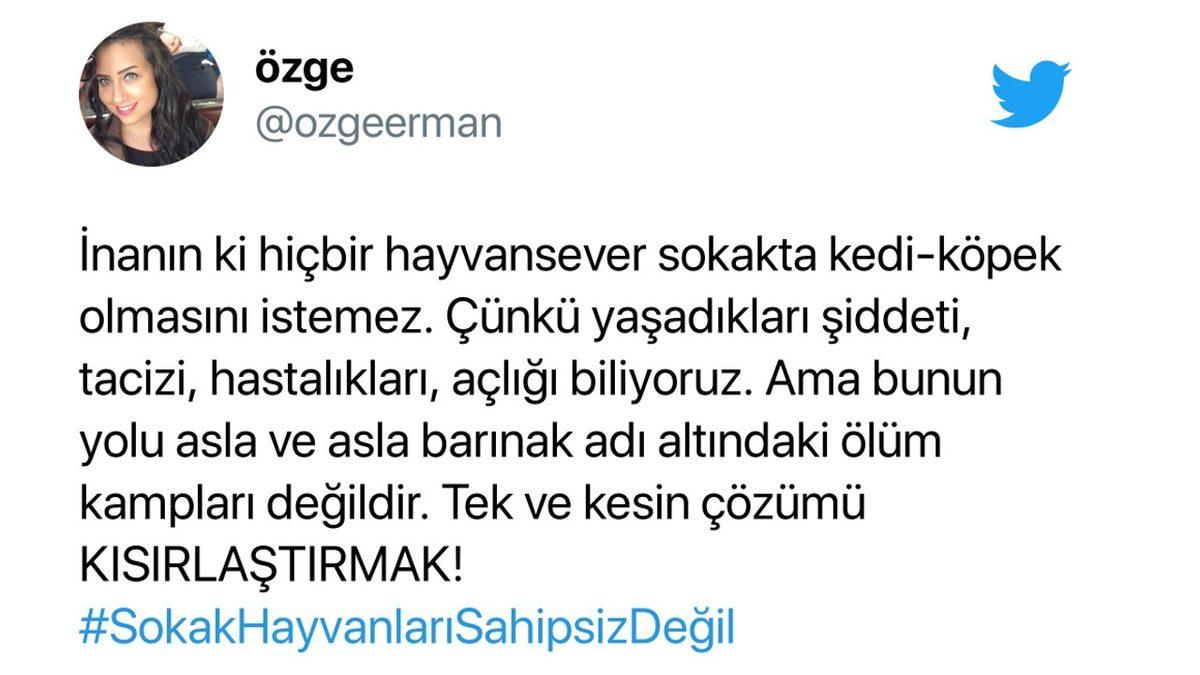 Cumhurbaşkanı Erdoğan’ın ’Sokak Hayvanlarının Toplatılması’ Teklifi Sosyal Medyanın Gündeminde: İşte Gelen Tepkiler