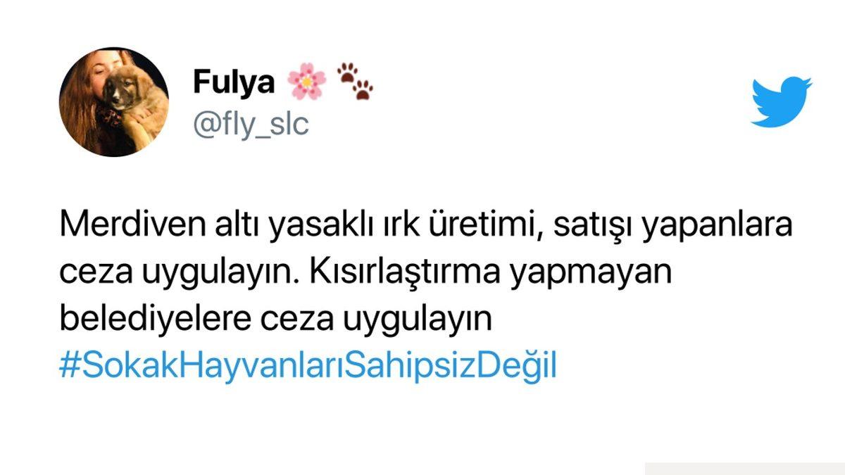 Cumhurbaşkanı Erdoğan’ın ’Sokak Hayvanlarının Toplatılması’ Teklifi Sosyal Medyanın Gündeminde: İşte Gelen Tepkiler