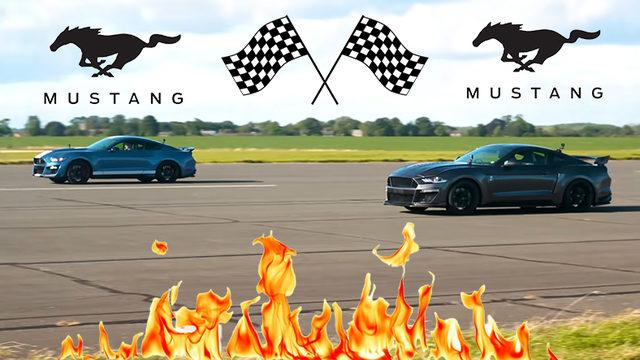 Asfalt Ağladı Be: Mustang Shelby GT500 ve Mustang CS850GT Drag Yarışında Tozu Dumana Kattı