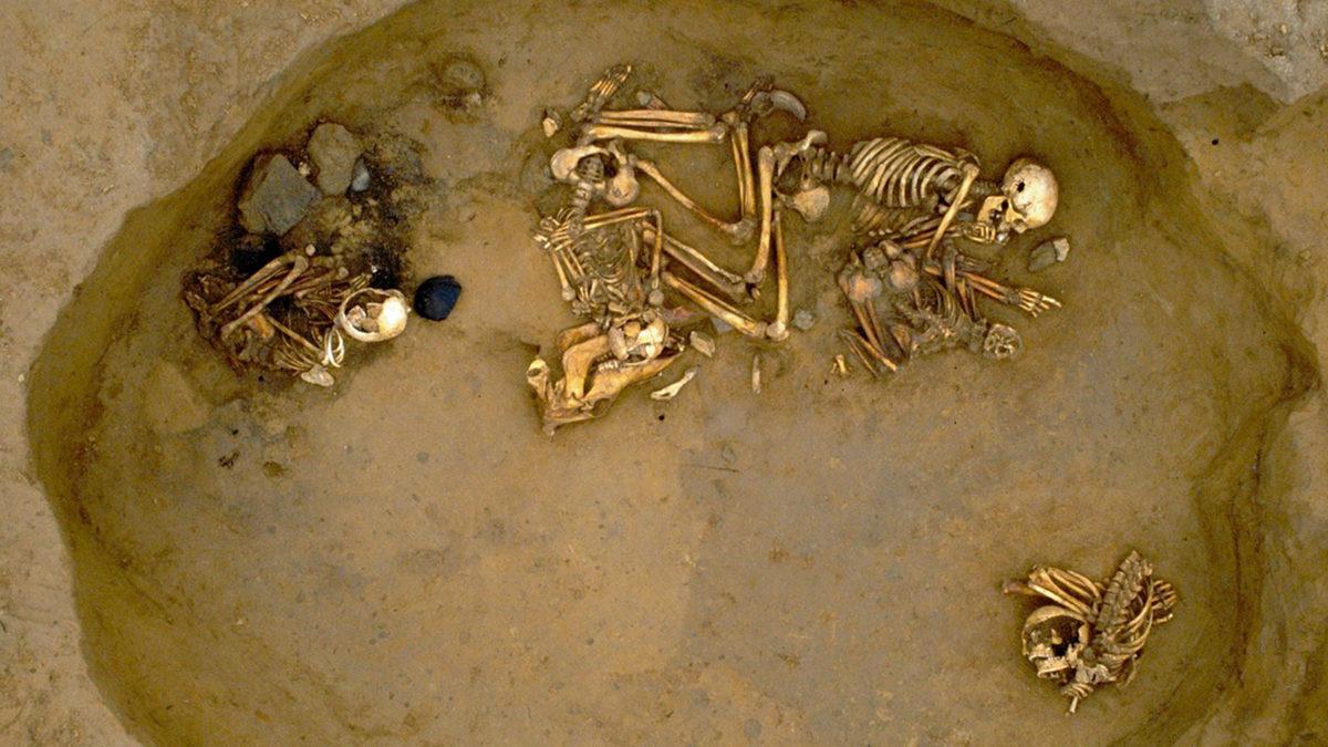 Bronz Çağı İnsanlarından Elde Edilen DNA Örnekleri, İngiltere Tarihinde Yeni Bir Sayfa Açabilir