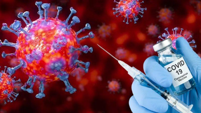 Anahtar Aşı: DSÖ Direktörü, Koronavirüs Salgınının Ne Zaman Biteceğini Açıkladı