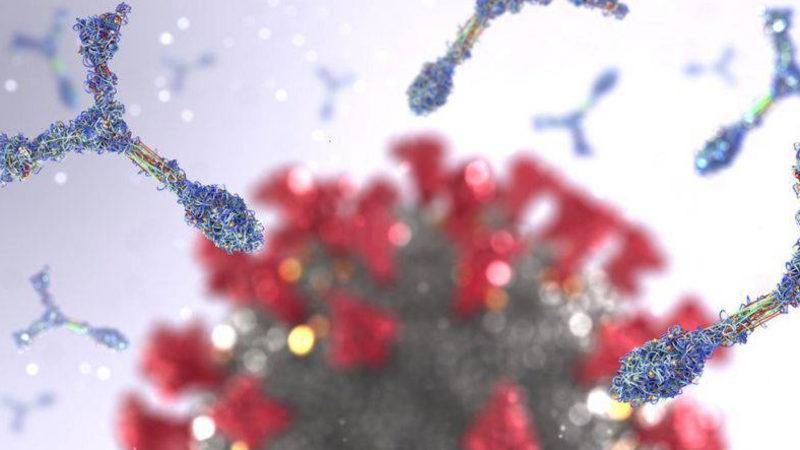 Omicron Hızla Yayılıyor: Sağlık Bakanlığı Hangi İlde Kaç Omicron Vakası Olduğunu Açıkladı