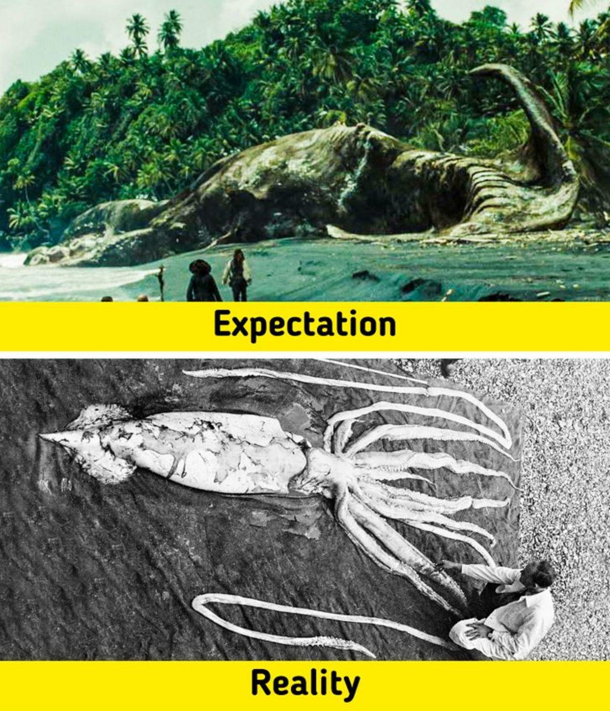 Biraz Abartılsa da Gerçekte Bir Şekilde Var Olan 7 Fantastik Canlı