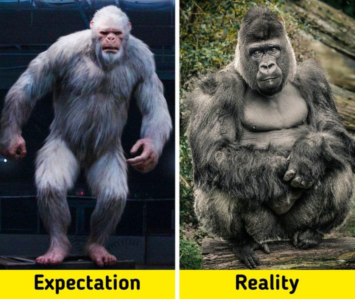 Biraz Abartılsa da Gerçekte Bir Şekilde Var Olan 7 Fantastik Canlı