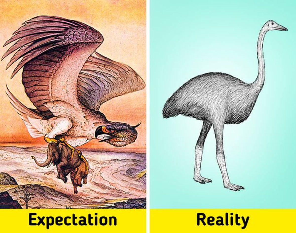 Biraz Abartılsa da Gerçekte Bir Şekilde Var Olan 7 Fantastik Canlı