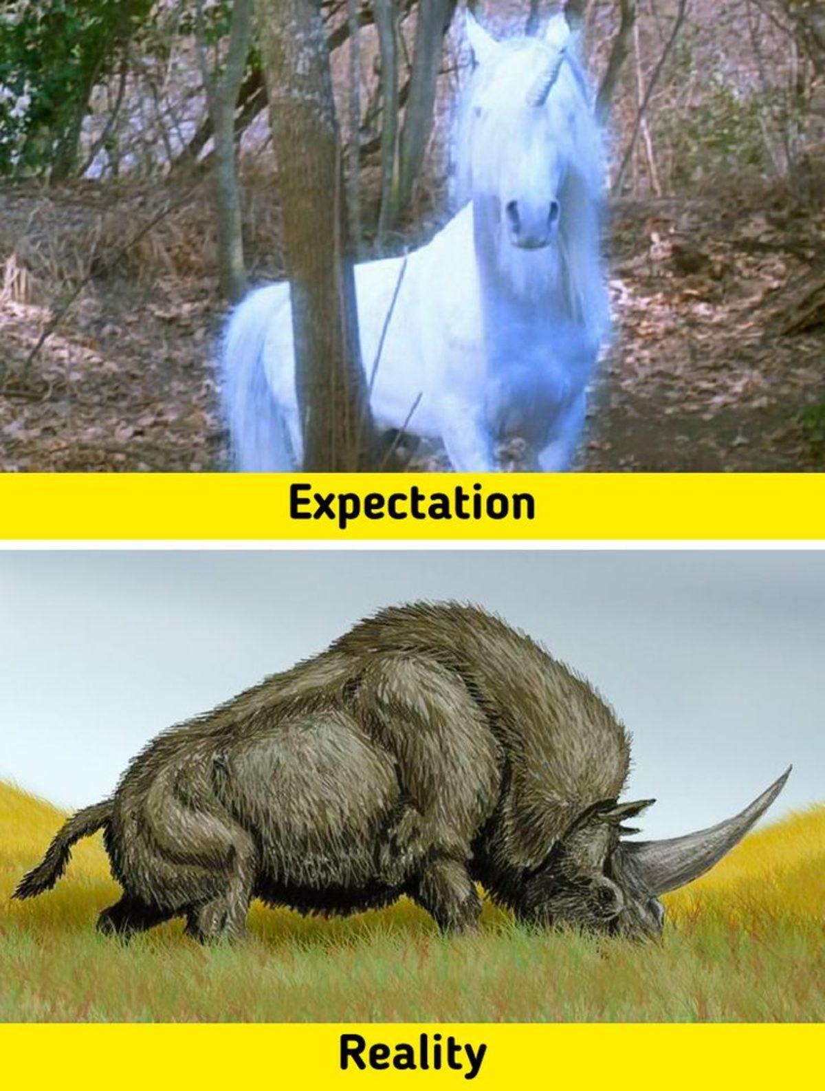 Biraz Abartılsa da Gerçekte Bir Şekilde Var Olan 7 Fantastik Canlı