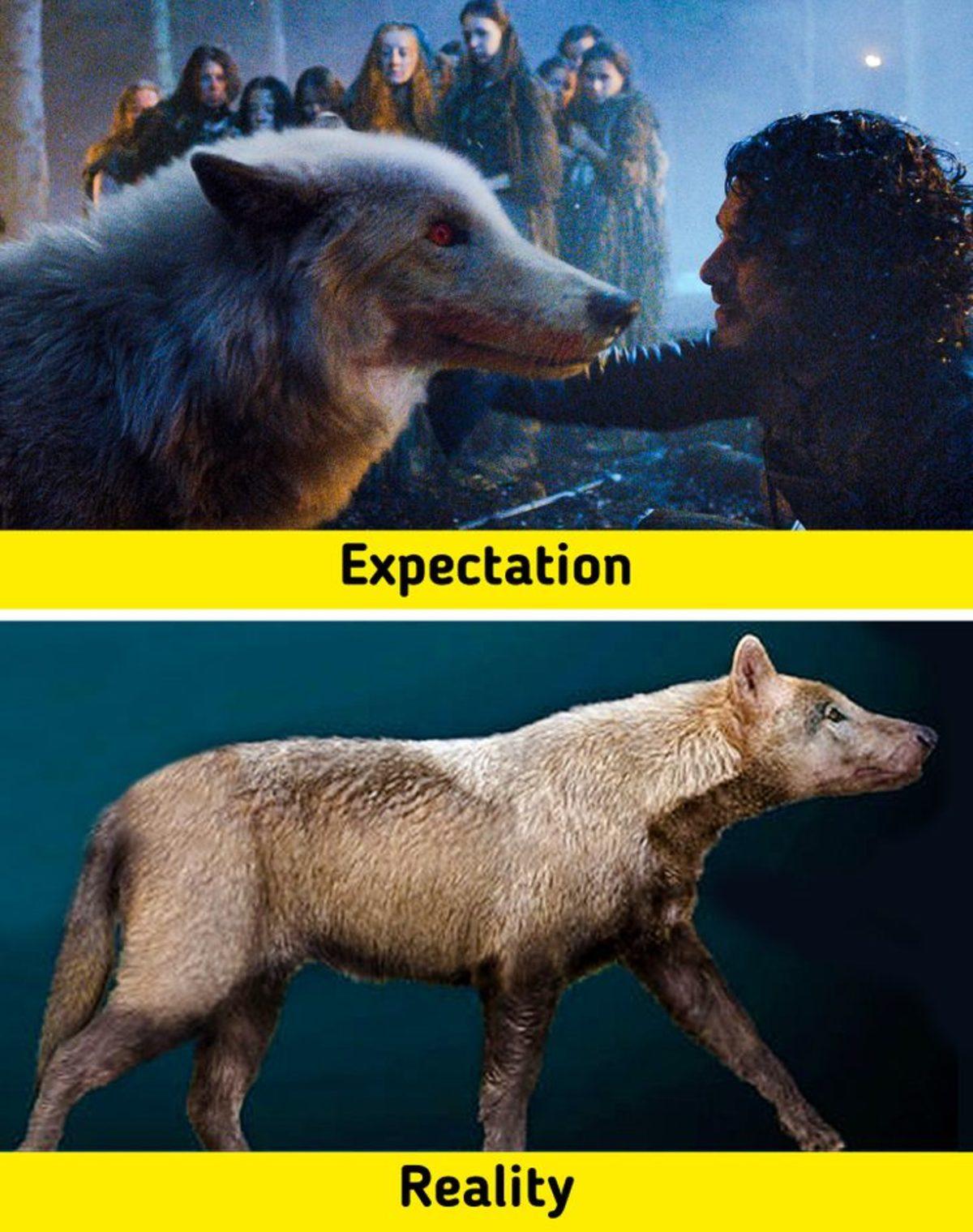 Biraz Abartılsa da Gerçekte Bir Şekilde Var Olan 7 Fantastik Canlı