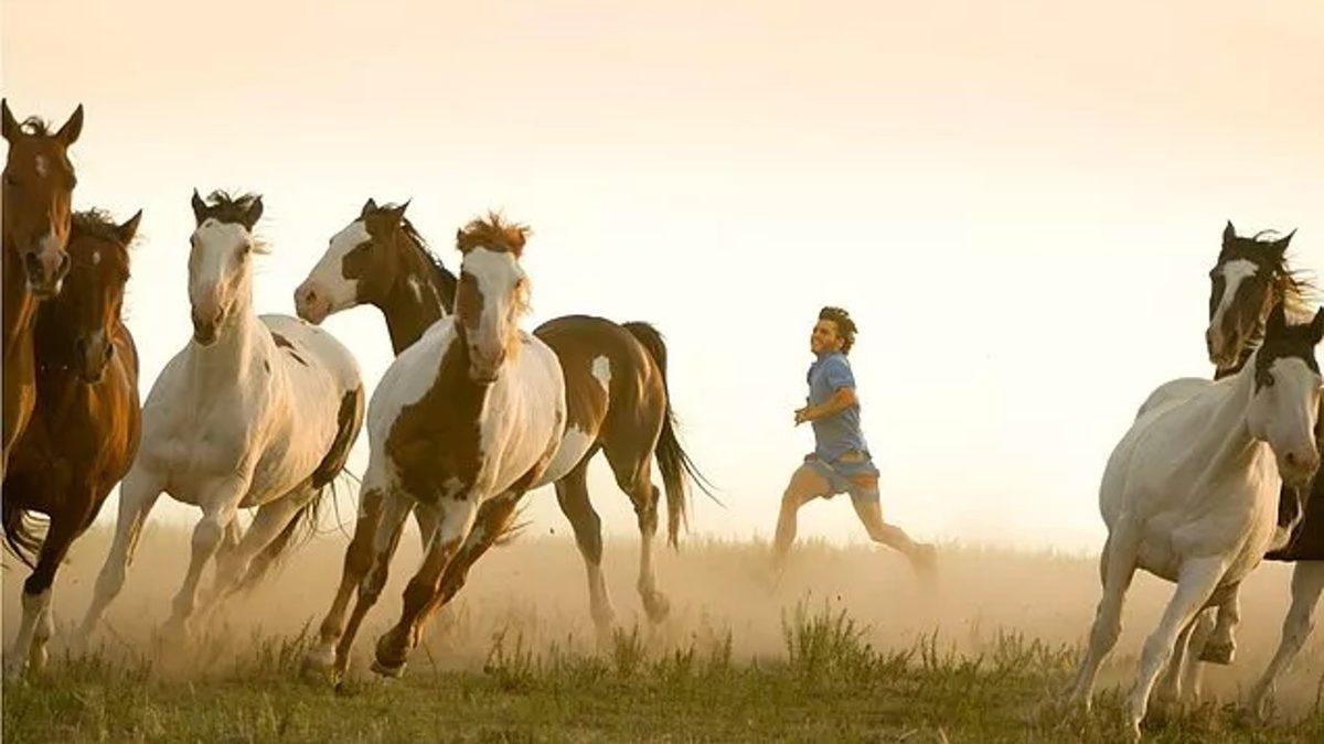 Bir Anda Her Şeyi Bırakıp Doğaya Kaçma İsteği Uyandıran Into the Wild Filmiyle Hafızalara Kazınan 16 Replik