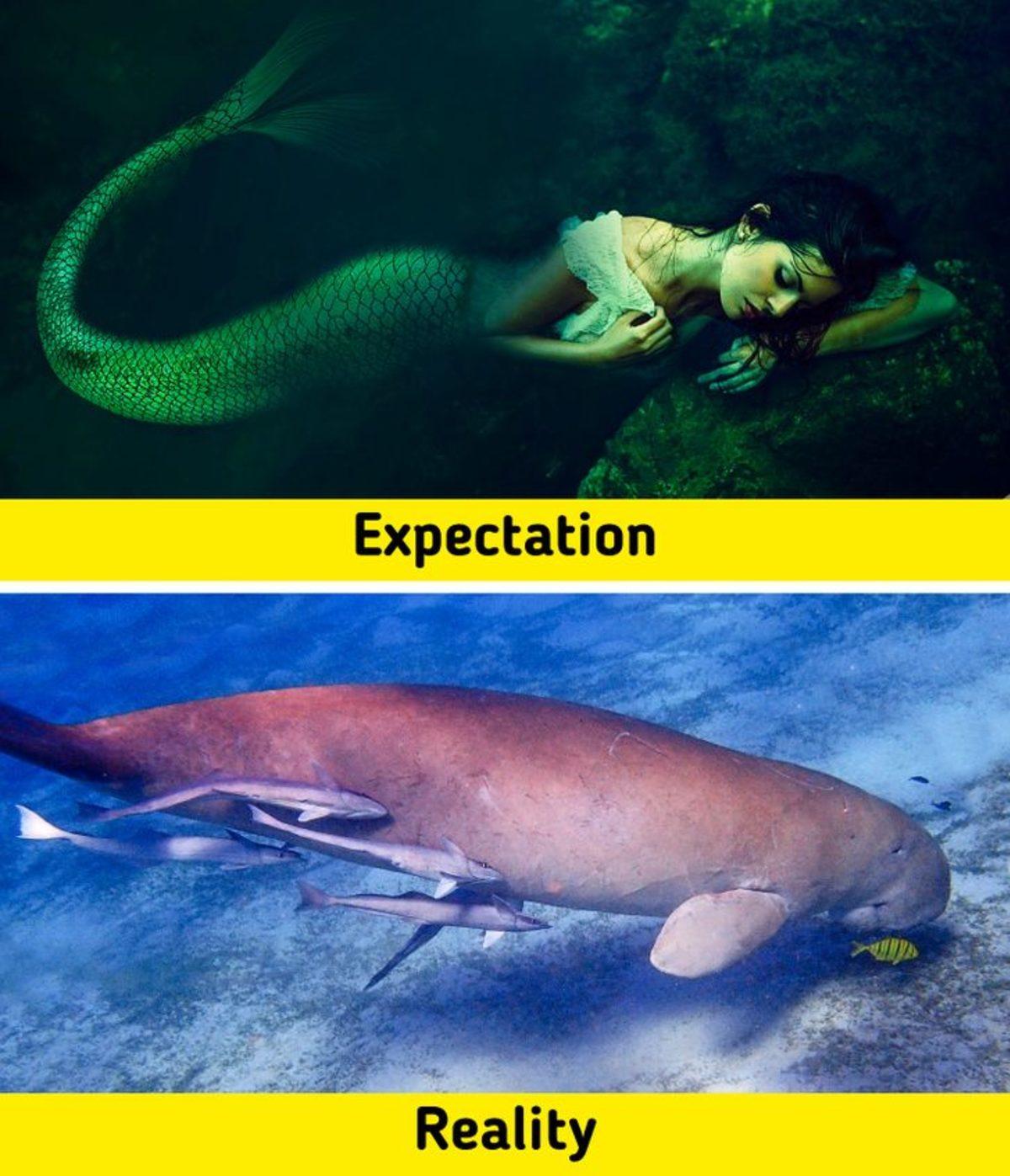 Biraz Abartılsa da Gerçekte Bir Şekilde Var Olan 7 Fantastik Canlı