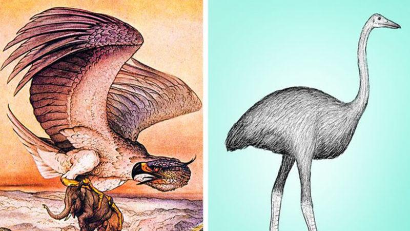 Biraz Abartılsa da Gerçekte Bir Şekilde Var Olan 7 Fantastik Canlı