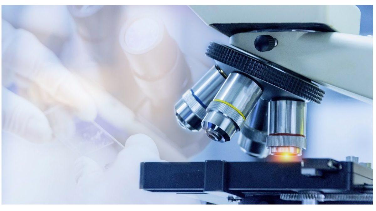 Kimin Aklına Geldi Gözlerin Göremediği Şeylere Merceklerle Bakmak: Mikroskop Tam Olarak Ne İşe Yarar, Mucidi Kim, Çeşitleri Neler?