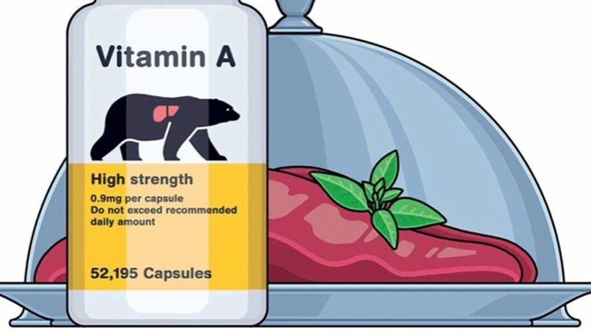 ’Kutup Ayısı Ciğeri’ Yemeniz Halinde Acı İçinde Ölecek Olmanızın İlginç Sebebi