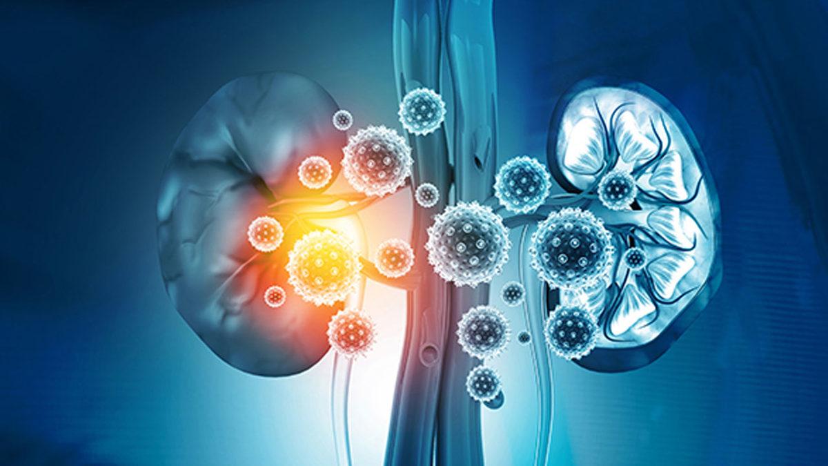 Koronavirüsün İnsan Hayatını Etkileyen Uzun Vadeli Bir Etkisi Daha Ortaya Çıktı