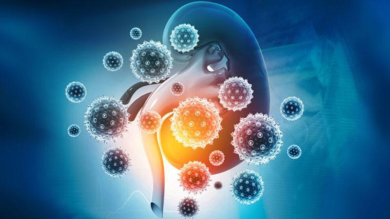 Koronavirüsün İnsan Hayatını Etkileyen Uzun Vadeli Bir Etkisi Daha Ortaya Çıktı