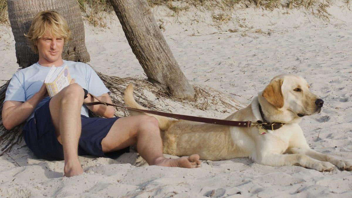 Ben Ağlamam Diyeni Bile İzleyince Salya Sümük Yapan 13 Unutulmaz Film Sahnesi