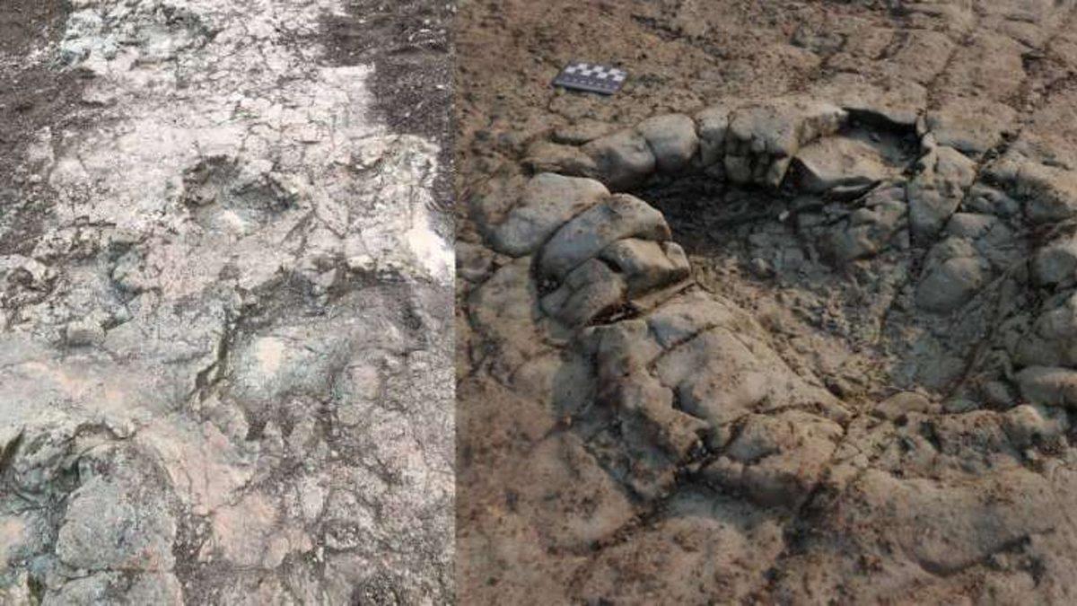 Galler’de Keşfedilen Dinozor Ayak İzlerinin 200 Milyon Yıllık Olduğu Ortaya Çıktı