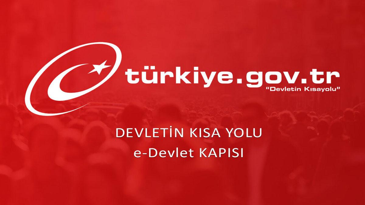 e-Devlet’e T.C. Kimlik Numarası Kısıtlama Özelliği Geldi: Peki Ne İşe Yarayacak?