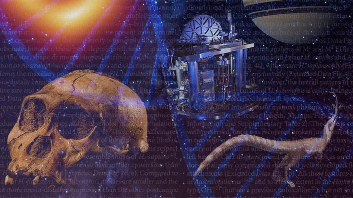 Geçtiğimiz Yıl Yapılmış ve Öğrenince Ufkunuzu Açacak 10 Bilimsel Araştırma ve Keşif