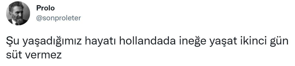 Canı Sıkılanlar Buraya: Bu Haftanın Gözden Kaçırılmaması Gereken En Komik 25 Tweet’i