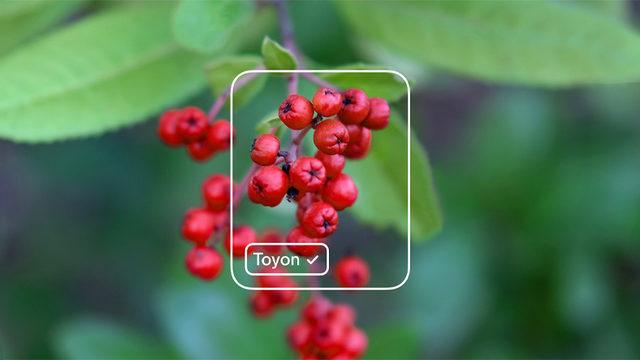 Microsoft, Tek Satır Kod Yazmadan Yapay Zekâ Modeli Oluşturulabilecek Uygulamasını Yayınladı