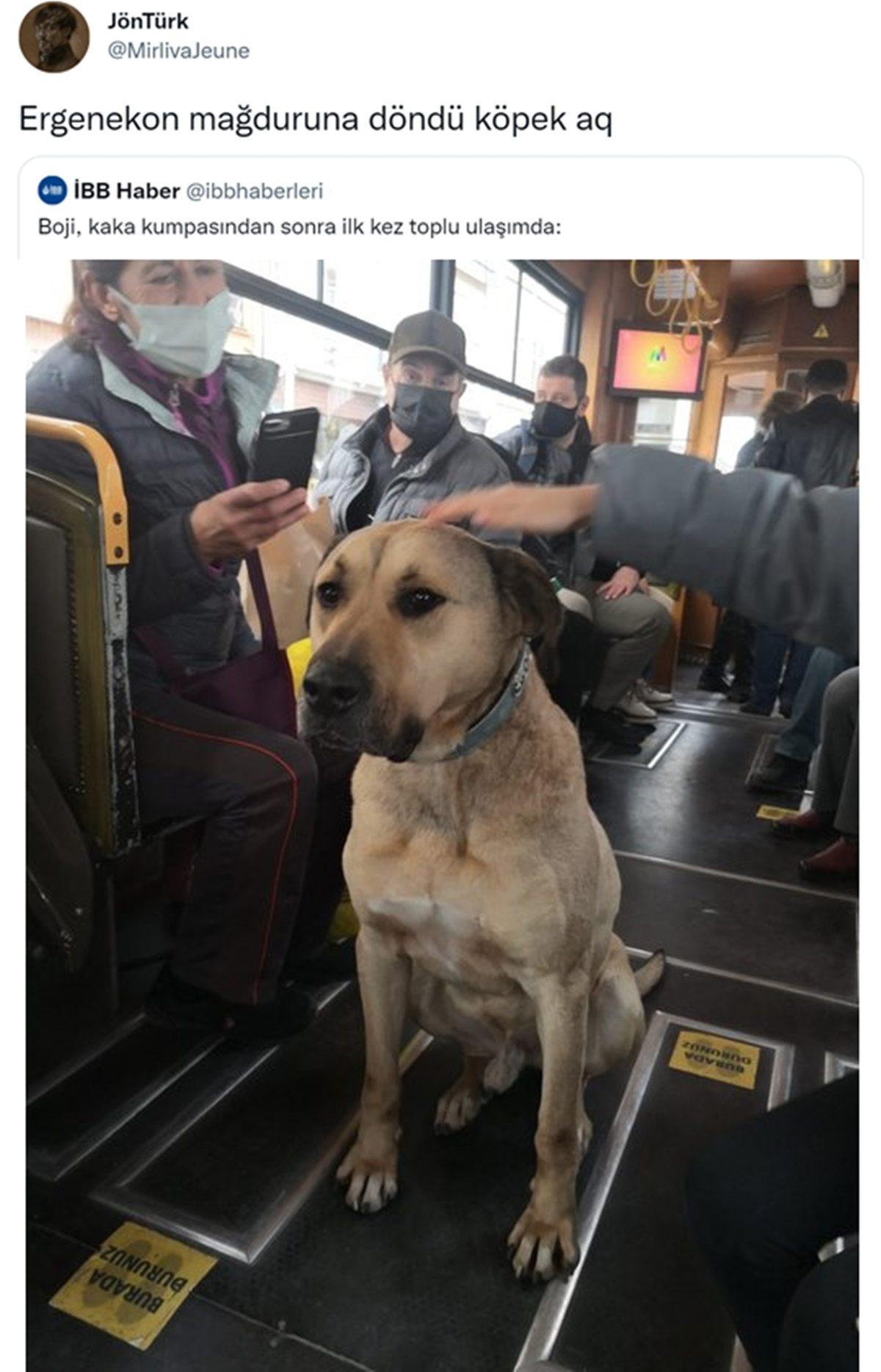 Canı Sıkılanlar Buraya: Bu Haftanın Gözden Kaçırılmaması Gereken En Komik 25 Tweet’i