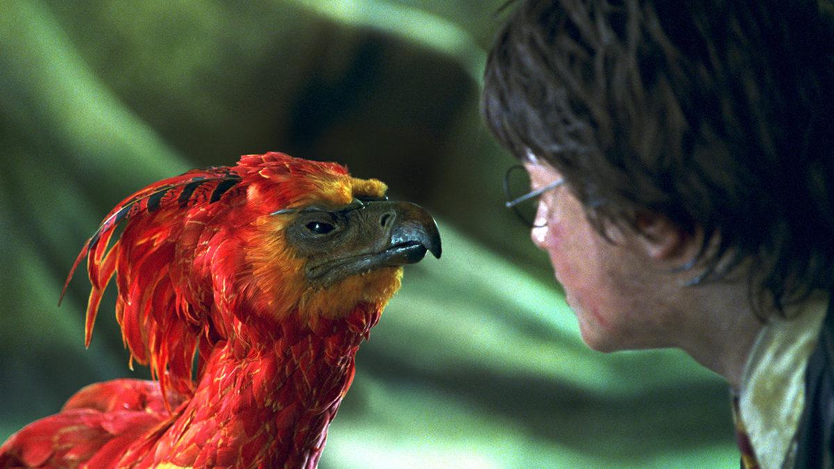 Harry Potter Hayranları Toplansın: Serinin Bilinmeyen Gerçekleri Ortaya Çıktı