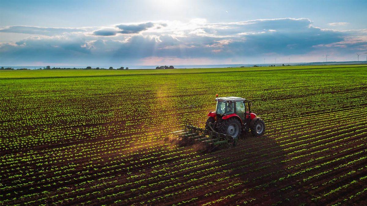 İklim Kriziyle Mücadele Toprakta Başlayacak: Rezonans Teknolojisi Tarımı İyileştirebilir