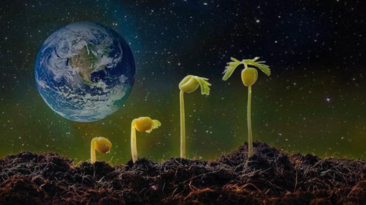 İklim Kriziyle Mücadele Toprakta Başlayacak: Rezonans Teknolojisi Tarımı İyileştirebilir