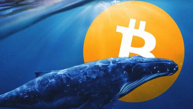 Dünyanın En Büyük Üçüncü Bitcoin Balinası, Milyonlarca Dolarlık Bitcoin Aldı