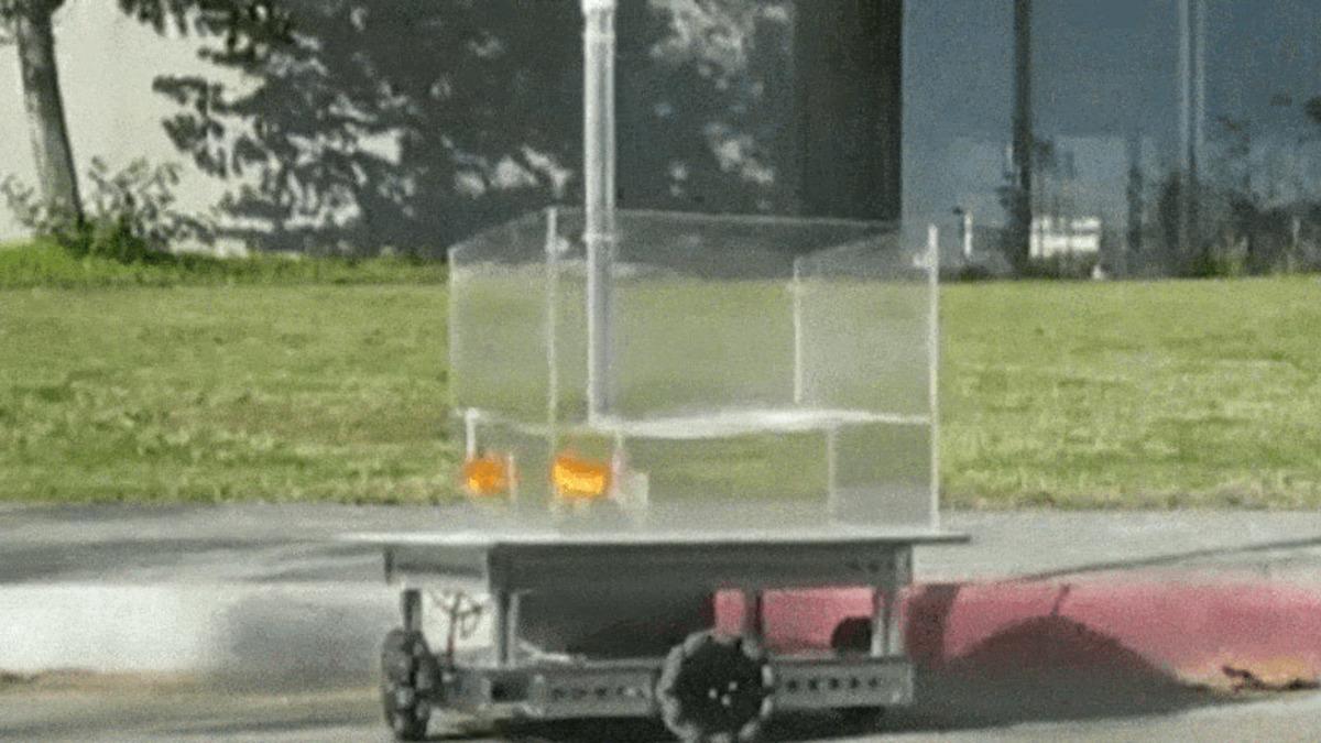 Darısı Bizim Başımıza: Bilim İnsanları, Japon Balıklarına Araba Sürmeyi Öğretti [Video]