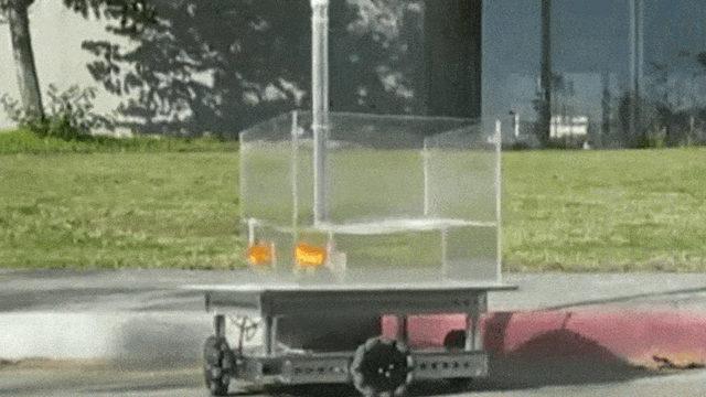 Darısı Bizim Başımıza: Bilim İnsanları, Japon Balıklarına Araba Sürmeyi Öğretti [Video]