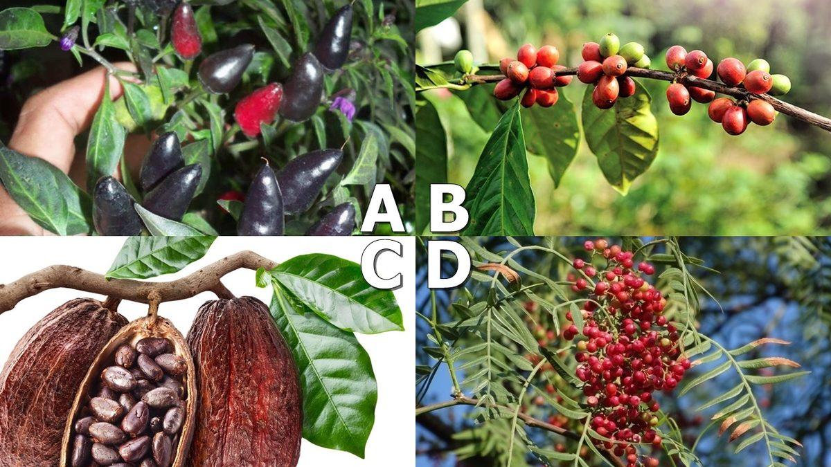 Görünce İkilemde Bırakan Bu Sorulardan Kaçını Doğru Bileceksin?