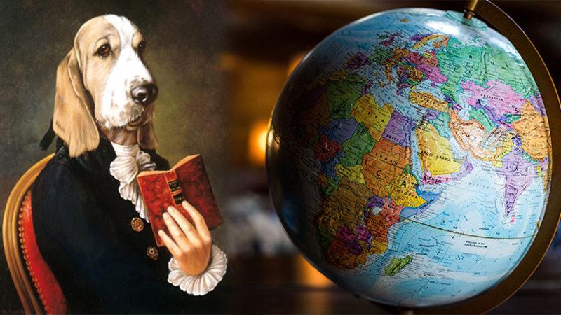 Yeni Bir Araştırmaya Göre Köpekler ‘Birden Fazla Dili’ Anlıyor Olabilir