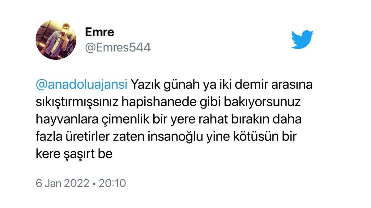 Mötrix’e Hoş Geldiniz: Süt Üretimini Artırmak İsteyen Bir Vatandaş, İneklerine Sanal Gerçeklik Gözlüğü Taktı