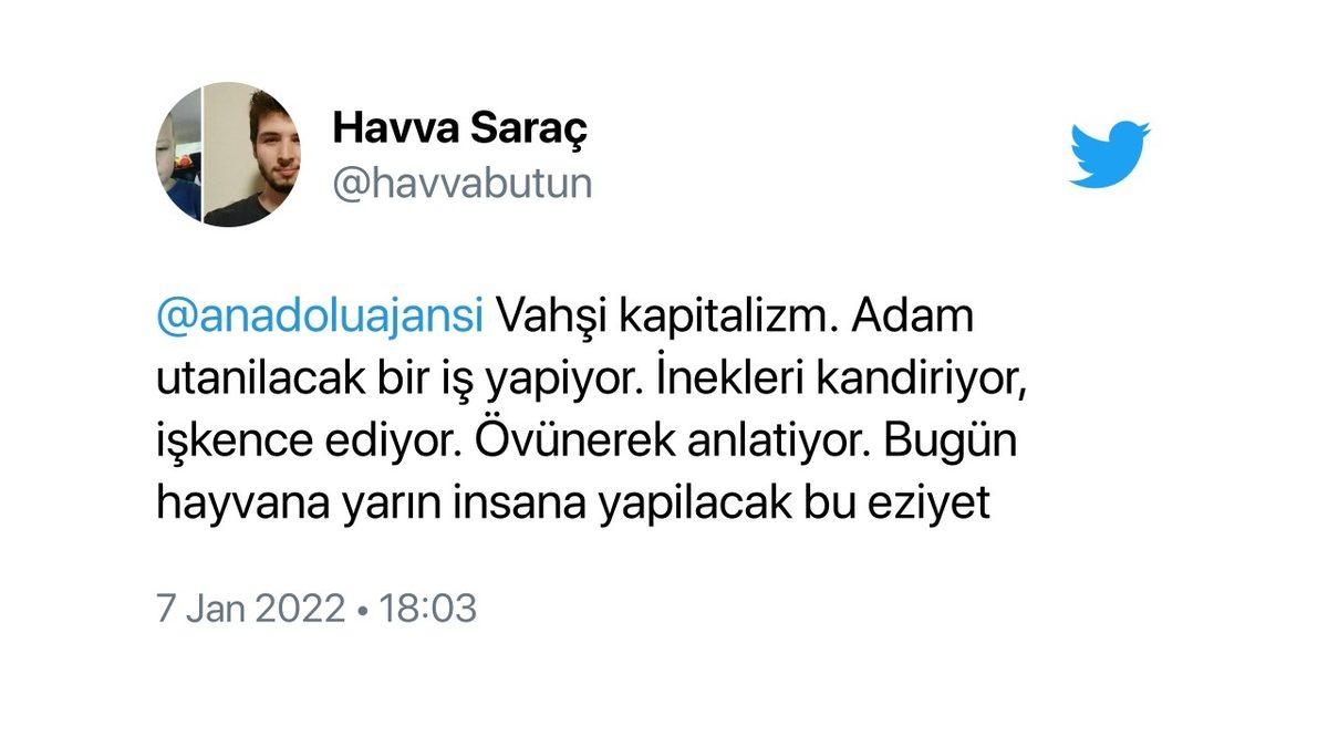 Mötrix’e Hoş Geldiniz: Süt Üretimini Artırmak İsteyen Bir Vatandaş, İneklerine Sanal Gerçeklik Gözlüğü Taktı
