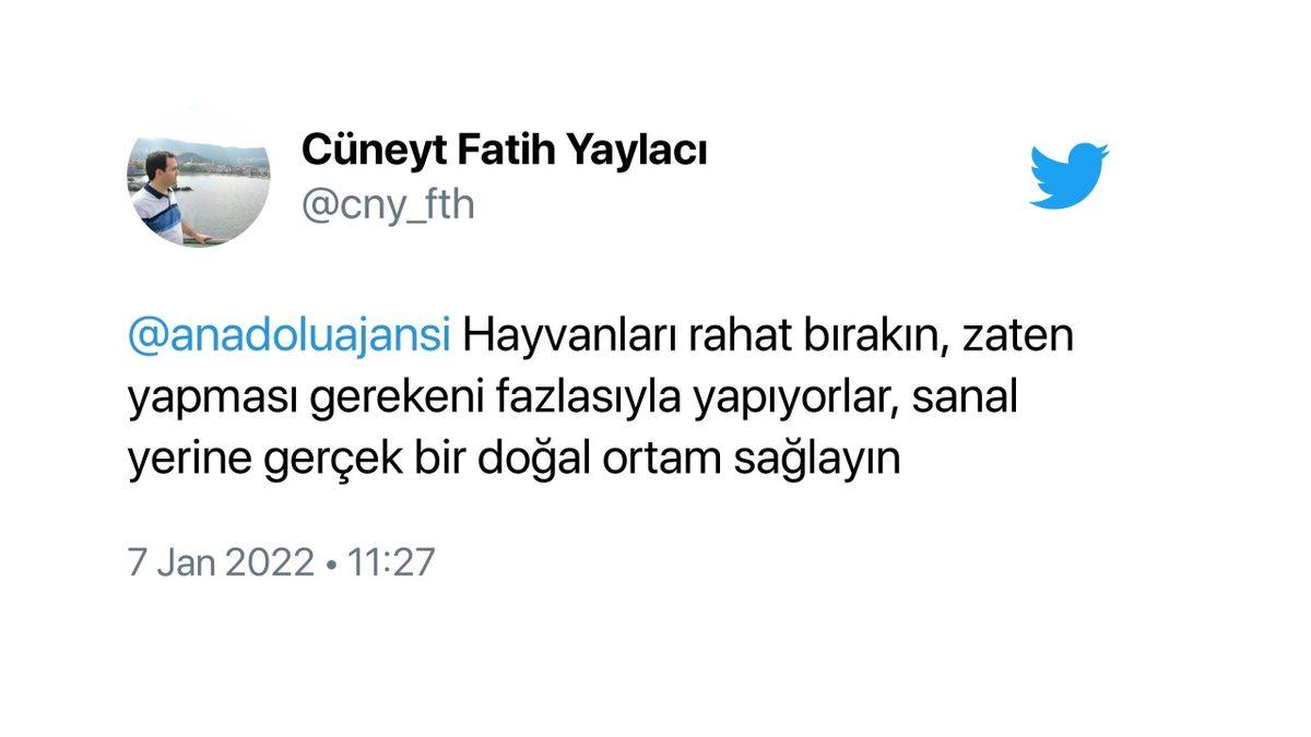 Mötrix’e Hoş Geldiniz: Süt Üretimini Artırmak İsteyen Bir Vatandaş, İneklerine Sanal Gerçeklik Gözlüğü Taktı