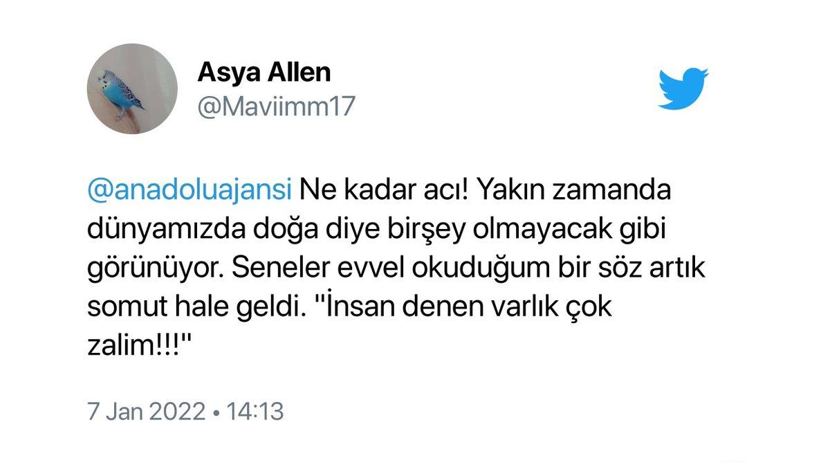 Mötrix’e Hoş Geldiniz: Süt Üretimini Artırmak İsteyen Bir Vatandaş, İneklerine Sanal Gerçeklik Gözlüğü Taktı