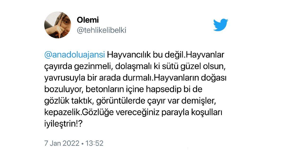 Mötrix’e Hoş Geldiniz: Süt Üretimini Artırmak İsteyen Bir Vatandaş, İneklerine Sanal Gerçeklik Gözlüğü Taktı