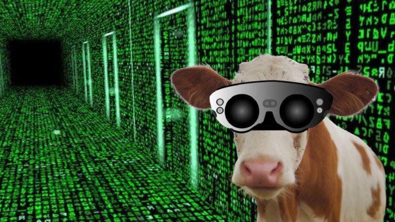 Mötrix’e Hoş Geldiniz: Süt Üretimini Artırmak İsteyen Bir Vatandaş, İneklerine Sanal Gerçeklik Gözlüğü Taktı