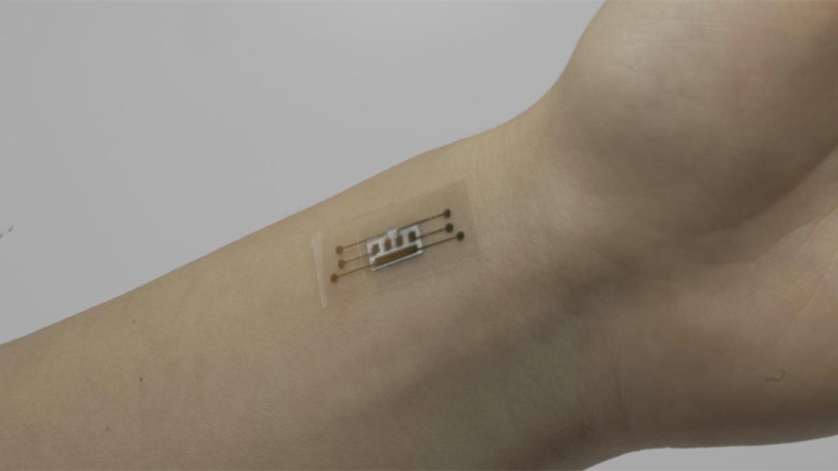 Bilim İnsanları, Esnek ve Oldukça Güvenilir Bir Sensör Geliştirdi