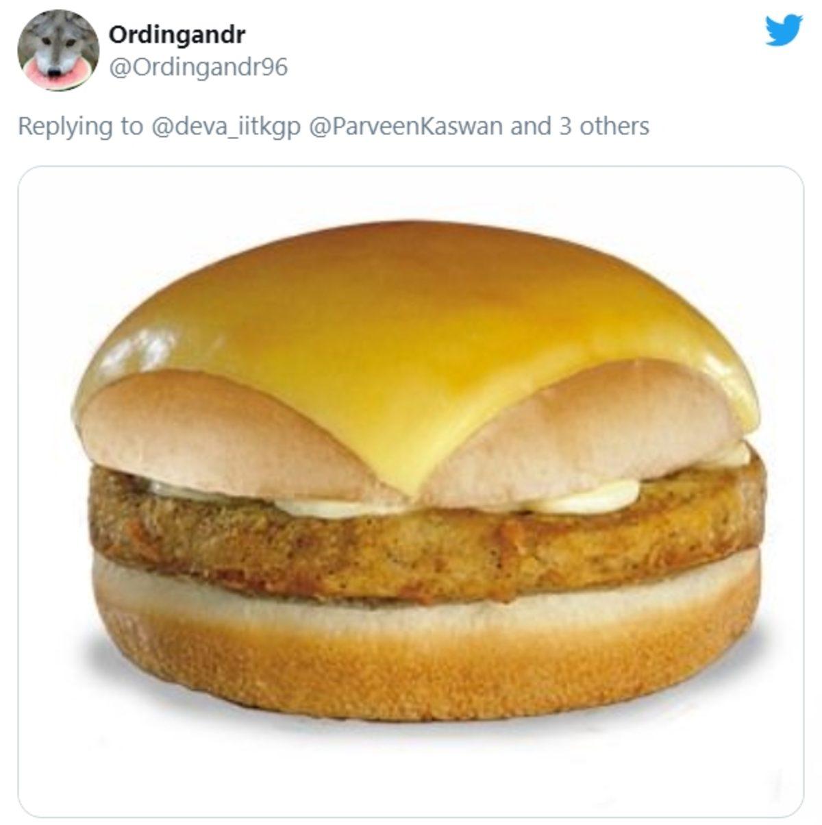 Hindistan’da Keşfedilen Sarı Renkli Kaplumbağa Twitter’da Viral Oldu