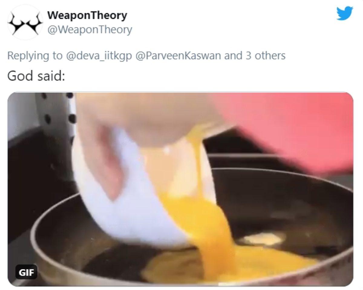 Hindistan’da Keşfedilen Sarı Renkli Kaplumbağa Twitter’da Viral Oldu