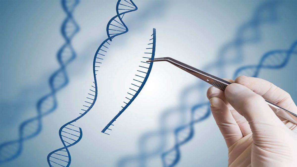 150 Yıl Yaşamanın Yolunu Arayan Bilim İnsanı Açıkladı: Ölümüm İklim Krizinden Olabilir