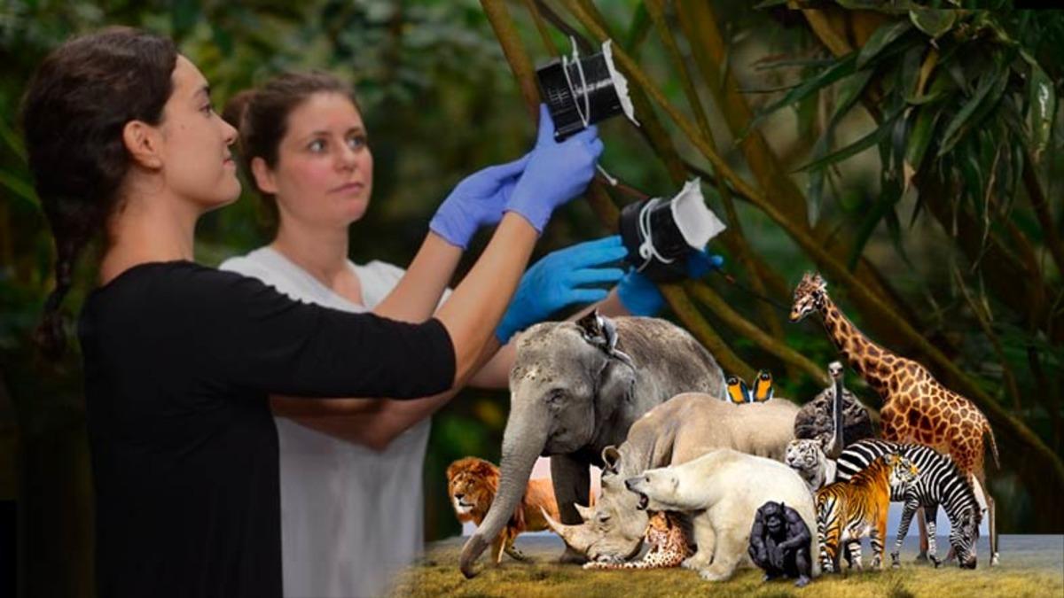 Bilim İnsanları Havayı ‘Vakumlayarak’ Bölgede Yaşayan Hayvan Türlerini İncelemeyi Başardı