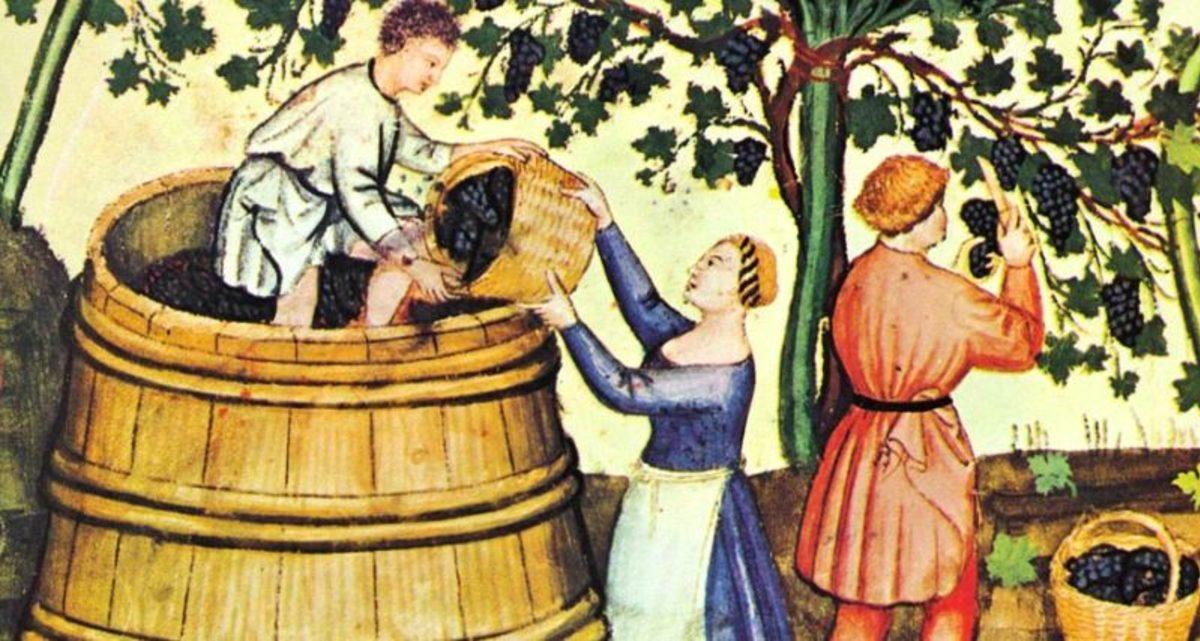 Blush ve Roze Şarap Arasındaki Fark Nedir? Aslında Her Şey Sadece Bir Satış Stratejisinden İbaret!