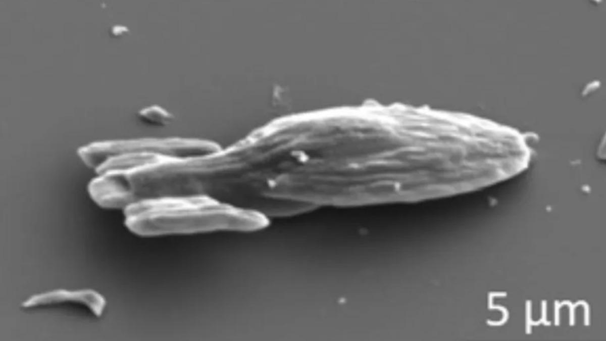 Star Trek’in Yıldızlararası Uzay Gemisi, Mikroskobik Boyutlarda İnşa Edildi