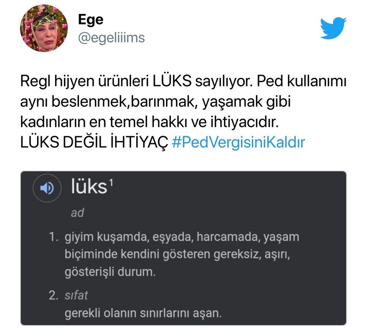 Aile Bakanı, Tepkilere Yanıt Verdi: Kadın Pedleri ile Bebek ve Hasta Bezlerine İndirim Gelebilir