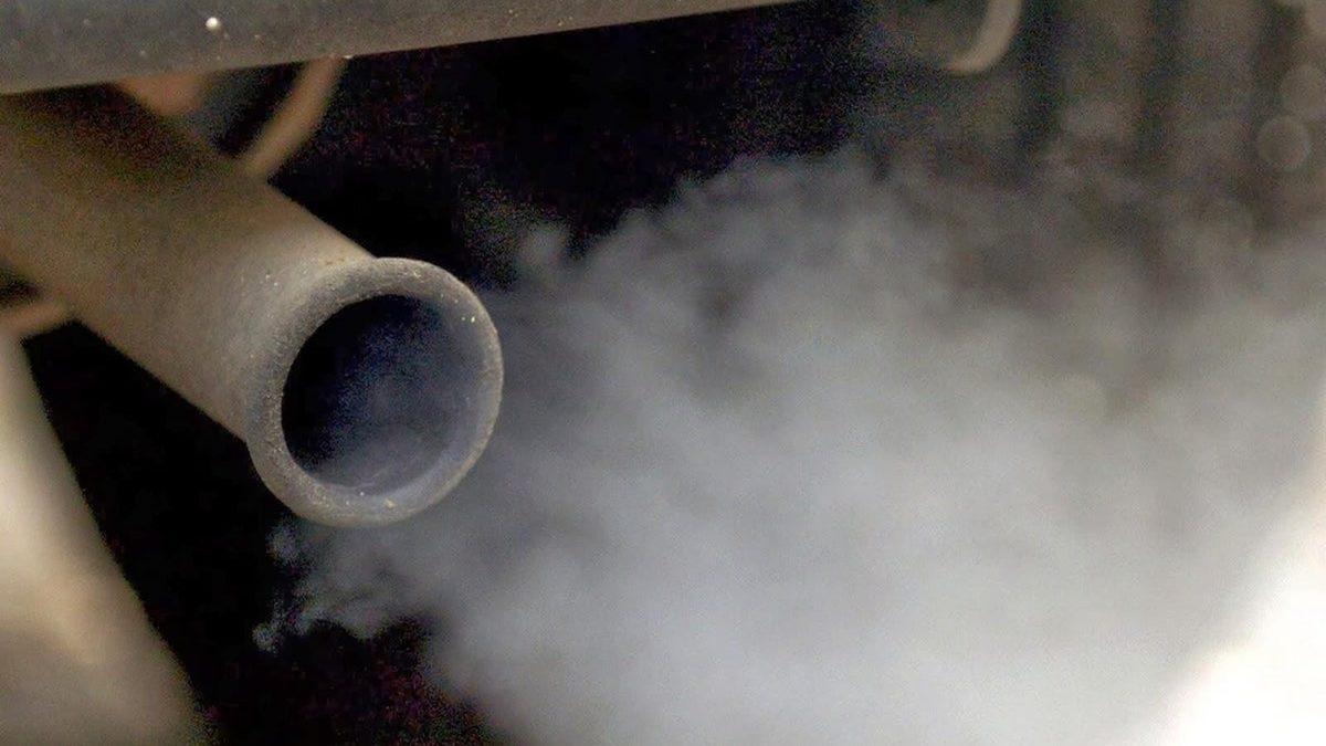 Eğer Şu An 18 Yaşından Büyükseniz IQ Seviyeniz Olması Gerekenden Daha Düşük! Nedenini Açıklıyoruz